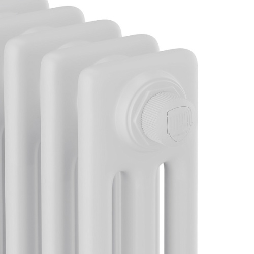 дизайн-радиатор royal thermo insignia vc3050 - 30 секц. ral9016 фото 3