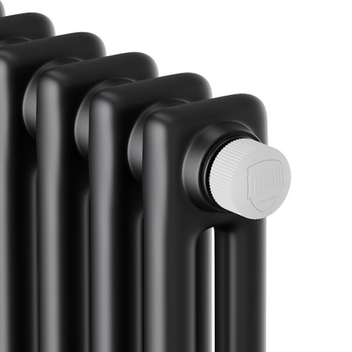 дизайн-радиатор royal thermo insignia vc2180 - 12 секц. ral9005m фото 3